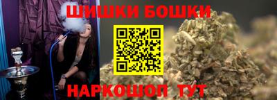 МДПВ Славгород