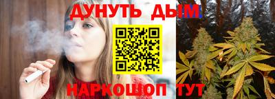 МДПВ Славгород