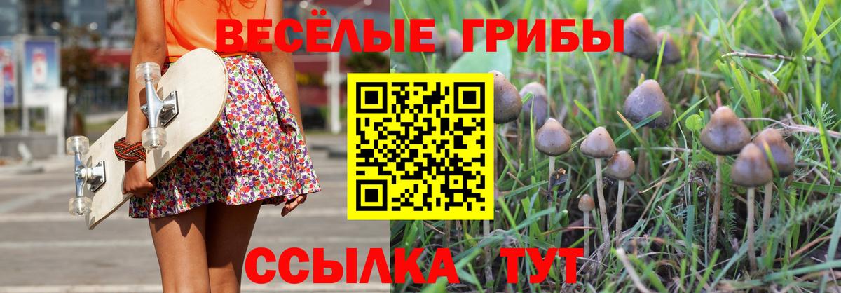 Галлюциногенные грибы Cubensis Воронеж