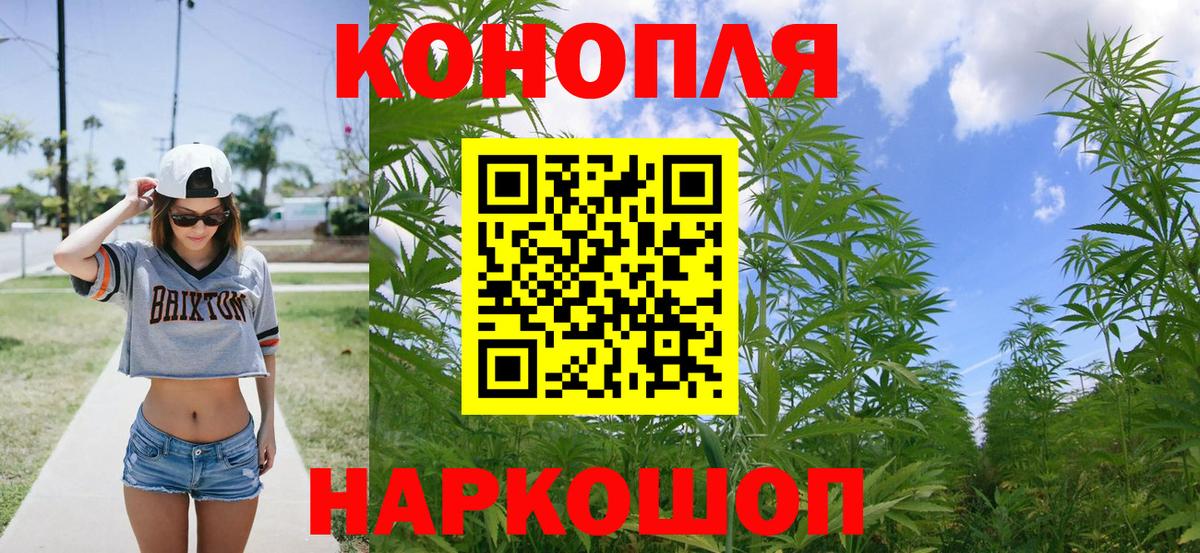 Конопля сатива Воронеж